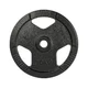Cast Iron Weight Plate inSPORTline Hamerton Black 10 kg, 30 mm