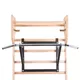 Wall-Mounted Pull-Up Bar inSPORTline LCR-1115