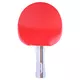 Star Table Tennis Racket