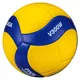Volleyball Mikasa V300W