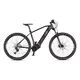 Mountain E-Bike 4EVER Exstream Team 29” - chameleon/hologram - chameleon/hologram