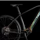 Mountain E-Bike 4EVER Exstream Team 29” - chameleon/hologram