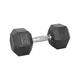 Hex Dumbbell inSPORTline Hexsteel 15 kg