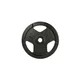 Cast Iron Weight Plate inSPORTline Hamerton Black 1.25 kg, 30 mm