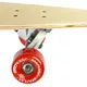 Spartan Longboard