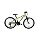 Junior Bike DHS Teranna 24023 24” – 2025 - Green
