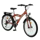 Bicycle DHS Trekking 2431 - model 2011 - Red