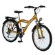 Bicycle DHS Trekking 2431 - model 2011 - Orange