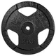 Cast Iron Weight Plate inSPORTline Hamerton Black 25 kg, 30 mm