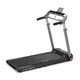 Folding Treadmill inSPORTline ZenRun Fold 20