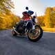 Motorcycle Shirt BOS Lumberjack - Dark Camo