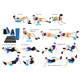 Yoga Roller inSPORTline Evar