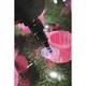 Inflatable Pool Lounger Bestway Fashion 188 x 71 cm - Pink