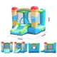 Inflatable Bounce House Doctor Dolphin Balloon 72016