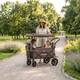 Folding Transport Wagon inSPORTline StrollKidz suitable for carrying children
