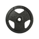 Cast Iron Weight Plate inSPORTline Hamerton Black 5 kg, 30 mm