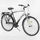 Men's bike DHS Downtown Leisure 2855 - model 2011 - Grey-Silver