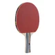 Table Tennis Paddle Joola Team School