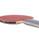 Table Tennis Paddle Joola Team School