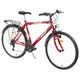 Bicycle DHS Life Joy 2613 26" - model 2012 - Red