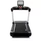 Treadmill Intenza 550Te