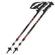 Leki Eagle Nordic Walking poles