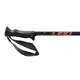 Leki Eagle Nordic Walking poles