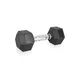 Hex Dumbbell inSPORTline Hexclusive 6 kg