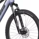 Mountain E-Bike Crussis e-Fionna 7.10 522Wh 29” – 2025