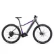 Mountain E-Bike Crussis e-Fionna 9.10 900Wh 29” – 2025