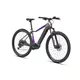 Mountain E-Bike Crussis e-Fionna 9.10 900Wh 29” – 2025