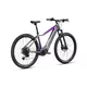 Mountain E-Bike Crussis e-Fionna 9.10 900Wh 29” – 2025