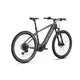 Mountain E-Bike Crussis ONE-Largo 9.10 720Wh 29” – 2025