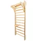 Swing for Wall Bars inSPORTline Swingle