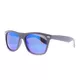 Polarized Sunglasses Bliz B Wilbur
