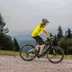 Cross E-Bike Crussis e-Cross 7.6 – 2021