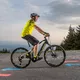Cross E-Bike Crussis e-Cross 7.6 – 2021