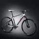 Cross Bike 4EVER Therapy CC Disc 1