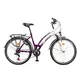 Lady's trekking bike DHS Silver 2664 - Purple