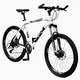 MTB bike DHS Impulse Challenger 2687 - model 2011 - White-Black