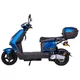 Electric Scooter W-TEC Raike II 10” - Black-Silver