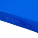 Gymnastics Mat inSPORTline Munakor T60 200 x 120 x 10 cm - Blue