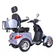 Four-Wheel Electric Scooter w/ Tow Bar & Trailer inSPORTline Antun - Red