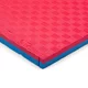 Tatami Puzzle Mat inSPORTline Malmeida 100 x 100 x 4 cm