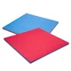 Tatami Puzzle Mat inSPORTline Malmeida 100 x 100 x 4 cm