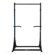 Free-Standing Pull-Up Bar inSPORTline Power Tower ON-X PT200