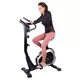 Exercise Bike inSPORTline Klegan