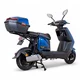Electric Scooter W-TEC Raike 10” - Black-Silver