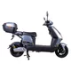 Electric Scooter W-TEC Raike 10” - Black-Silver