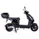Electric Scooter W-TEC Raike 10” - Black-Silver